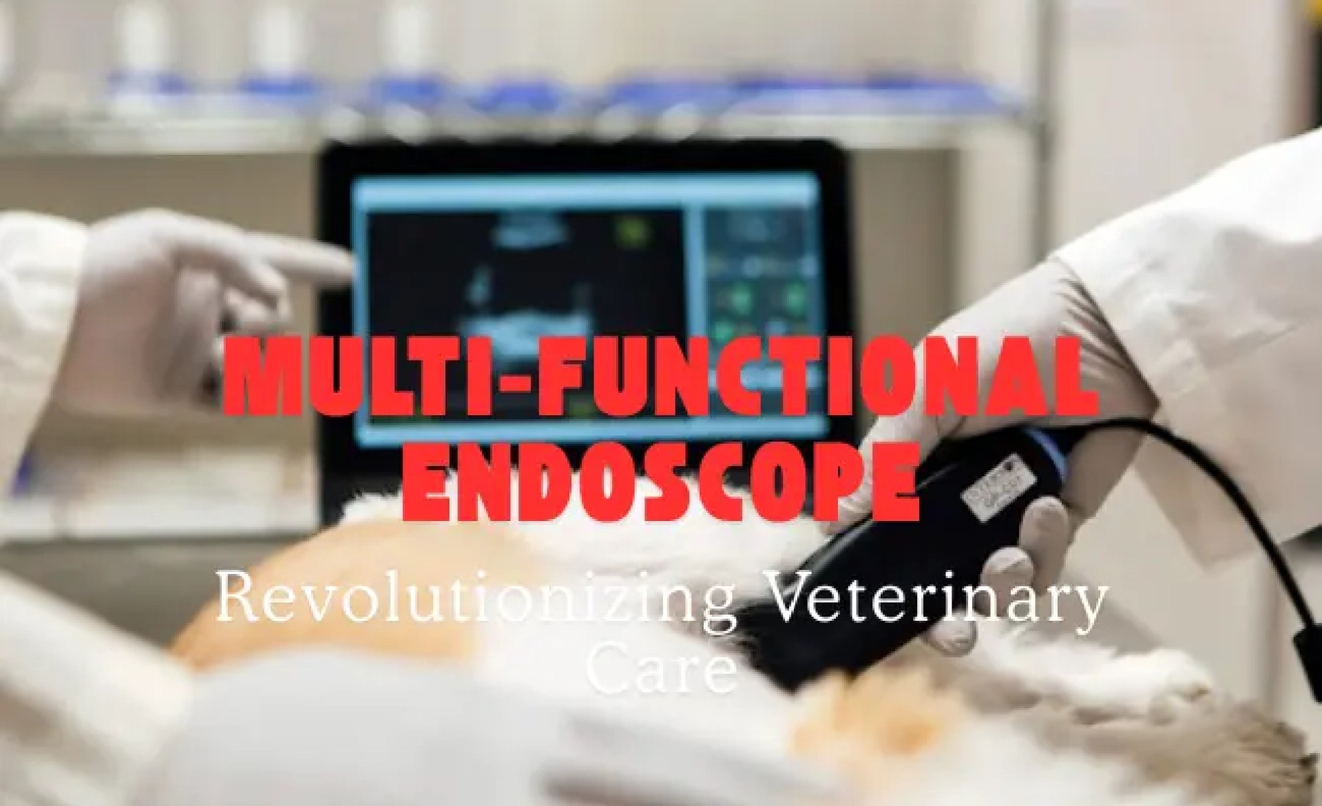 Revolucionando o cuidado veterinário: endoscópio multifuncional Revolucionando o cuidado veterinário: endoscópio multifuncional