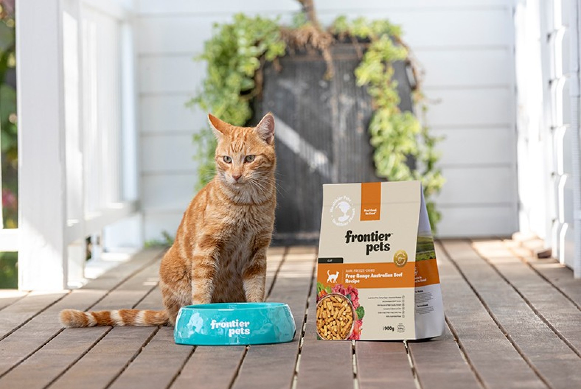 Frontier Pets Cat Food Review Frontier Pets Cat Food Review
