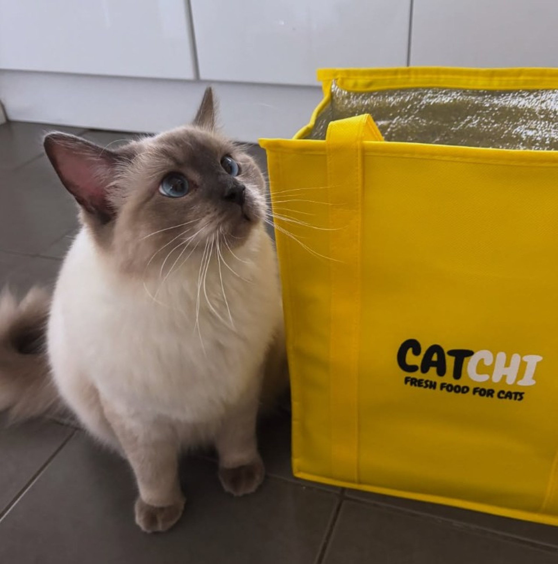 Catchi Cat Food Review Catchi Cat Food Review