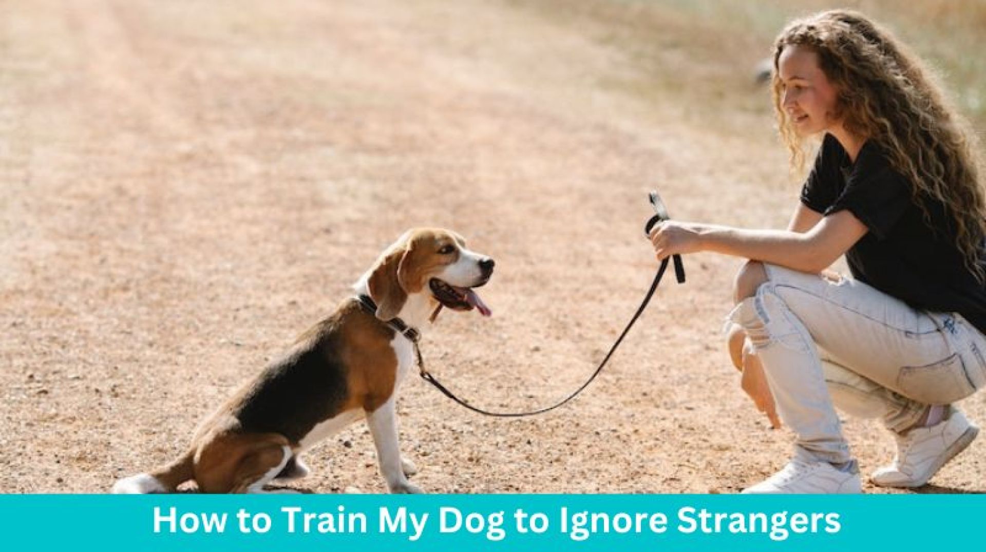Como treinar meu cachorro para ignorar estranhos: 6 etapas fáceis Como treinar meu cachorro para ignorar estranhos: 6 etapas fáceis