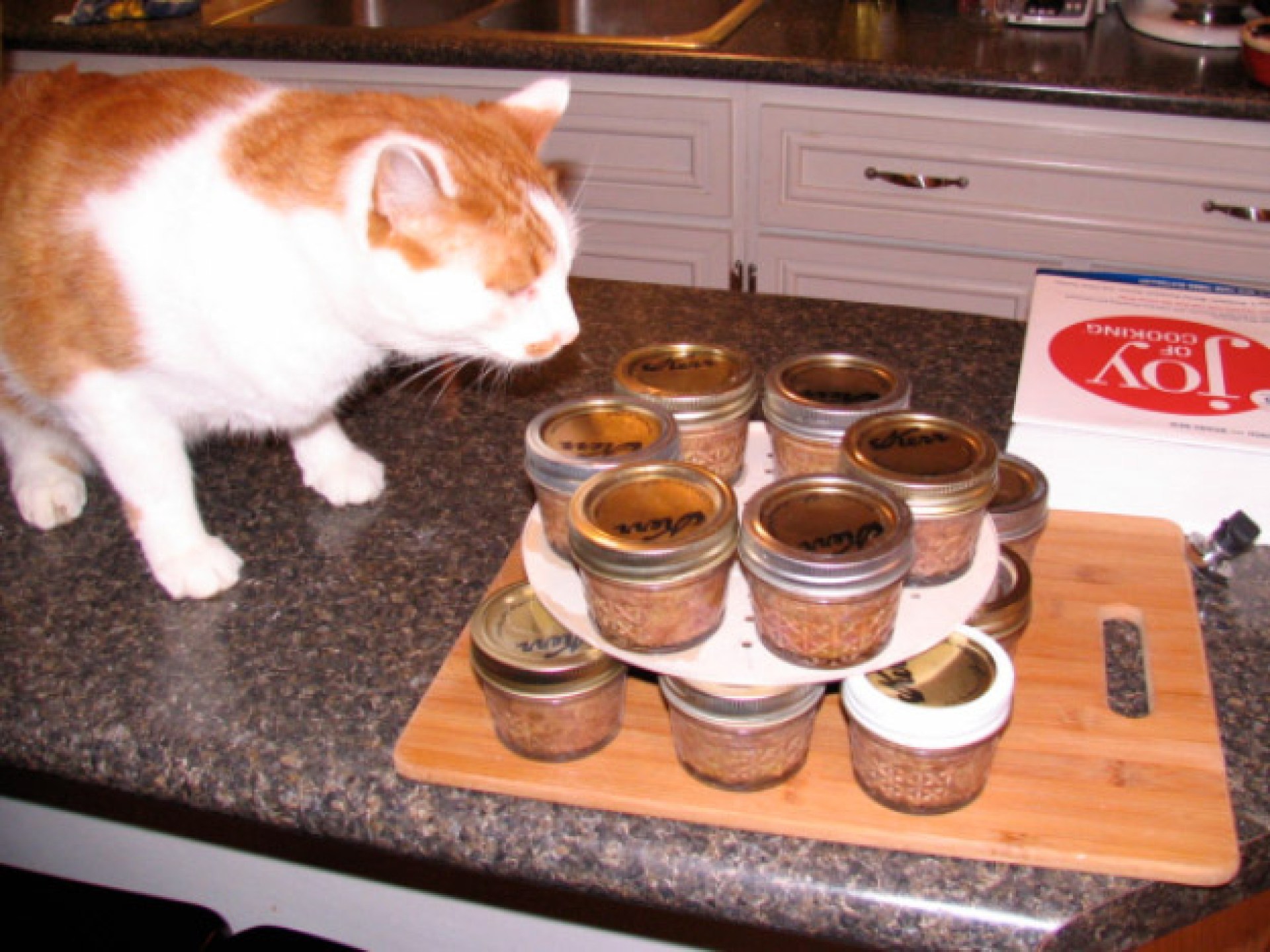 Como fazer comida caseira de gatos? Como fazer comida caseira de gatos?