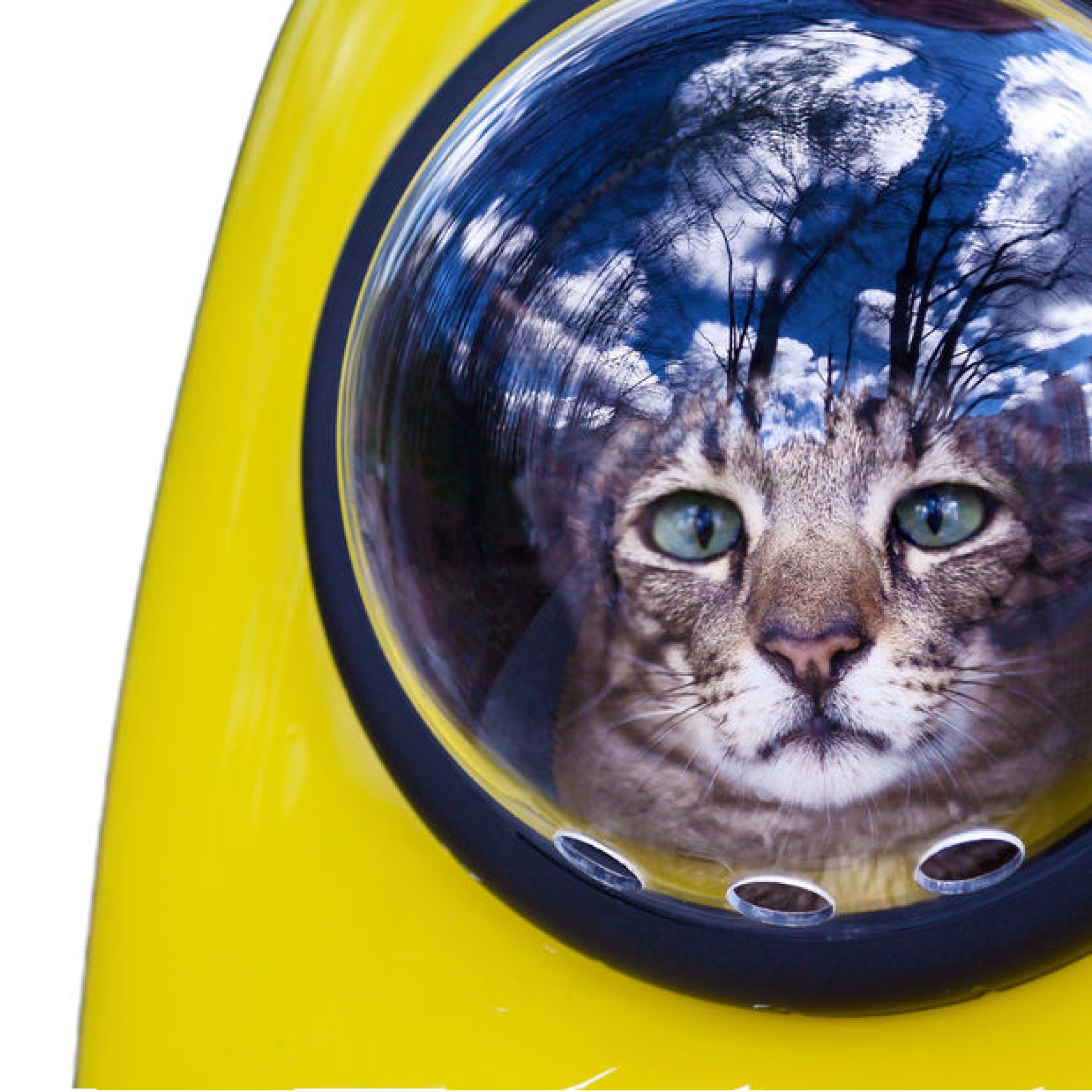 Mochilas de bolha de gatos – transportadoras de gatos Mochilas de bolha de gatos – transportadoras de gatos