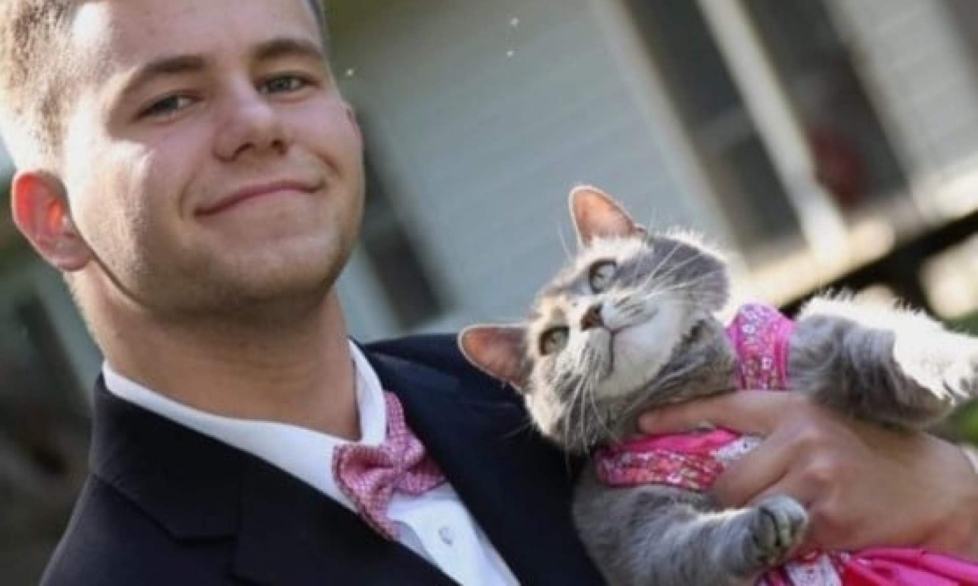 O gato do ensino médio se torna a realeza do baile! O gato do ensino médio se torna a realeza do baile!
