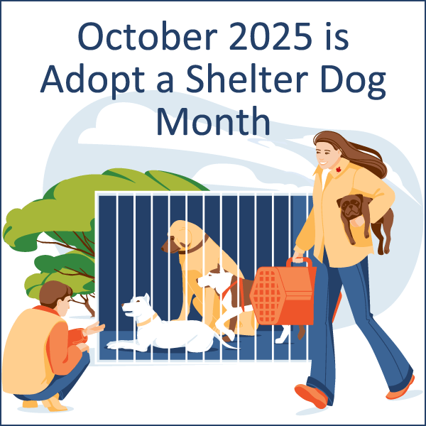 Quinta -feira 10/2 Adote um blog de um mês de abrigo Links – The Cat Blogosfera Quinta -feira 10/2 Adote um blog de um mês de abrigo Links – The Cat Blogosfera