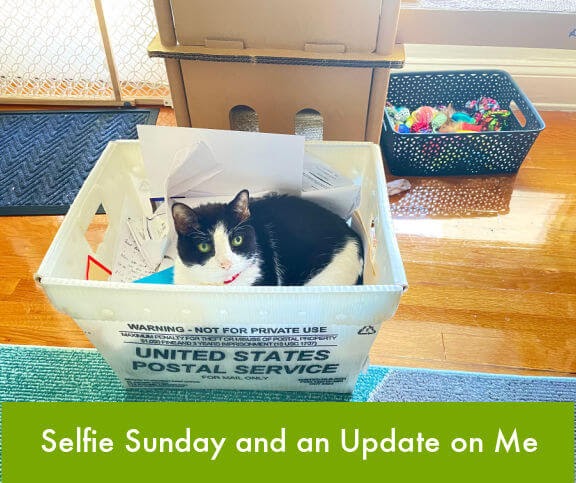 Selfie domingo 23/06/24 e uma atualização Selfie domingo 23/06/24 e uma atualização