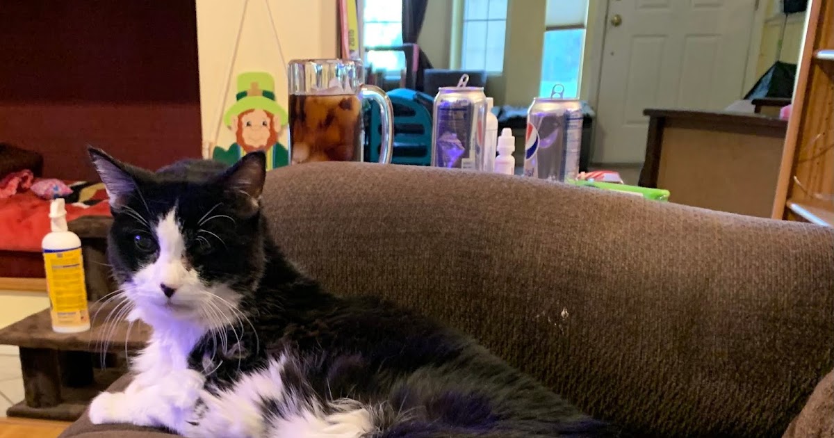 Dang, eles realmente enfiaram uma agulha em mim Dang, eles realmente enfiaram uma agulha em mim