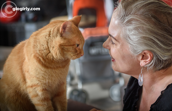 GLOGIRLY: Contagem regressiva de 15 semanas- Semana 10: Amor de uma mãe de gato GLOGIRLY: Contagem regressiva de 15 semanas- Semana 10: Amor de uma mãe de gato