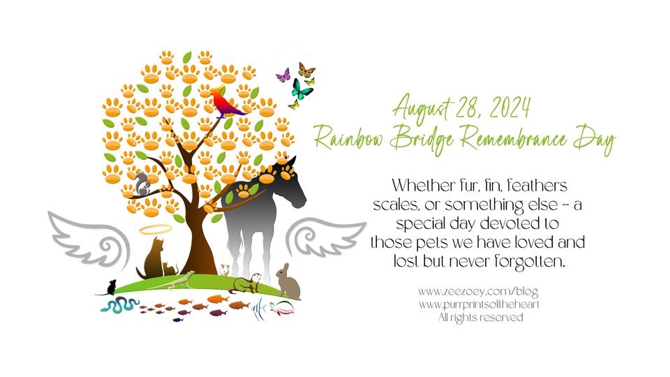 Rainbow Bridge Remembrance Day 2024 Rainbow Bridge Remembrance Day 2024