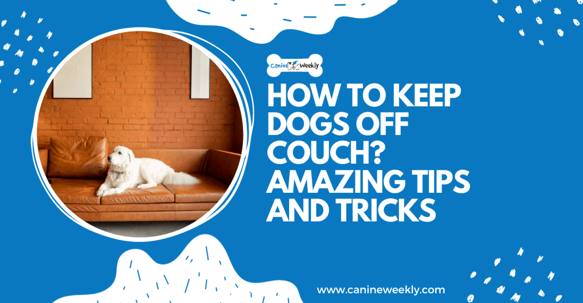 Como manter os cães fora do sofá? 5 dicas e truques incríveis Como manter os cães fora do sofá? 5 dicas e truques incríveis