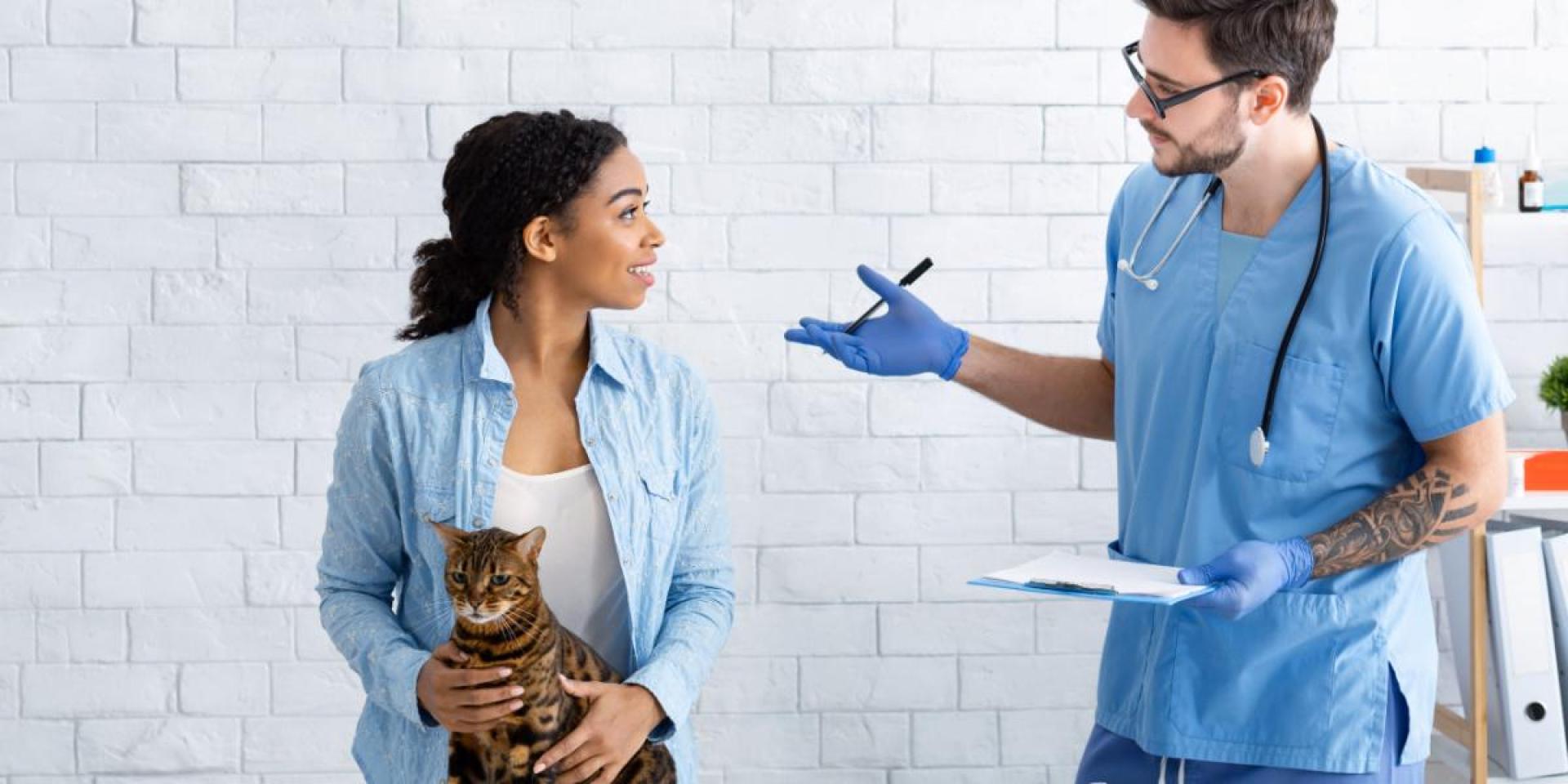 E se você não puder pagar um cuidado veterinário para o seu gato? Você tem opções E se você não puder pagar um cuidado veterinário para o seu gato? Você tem opções