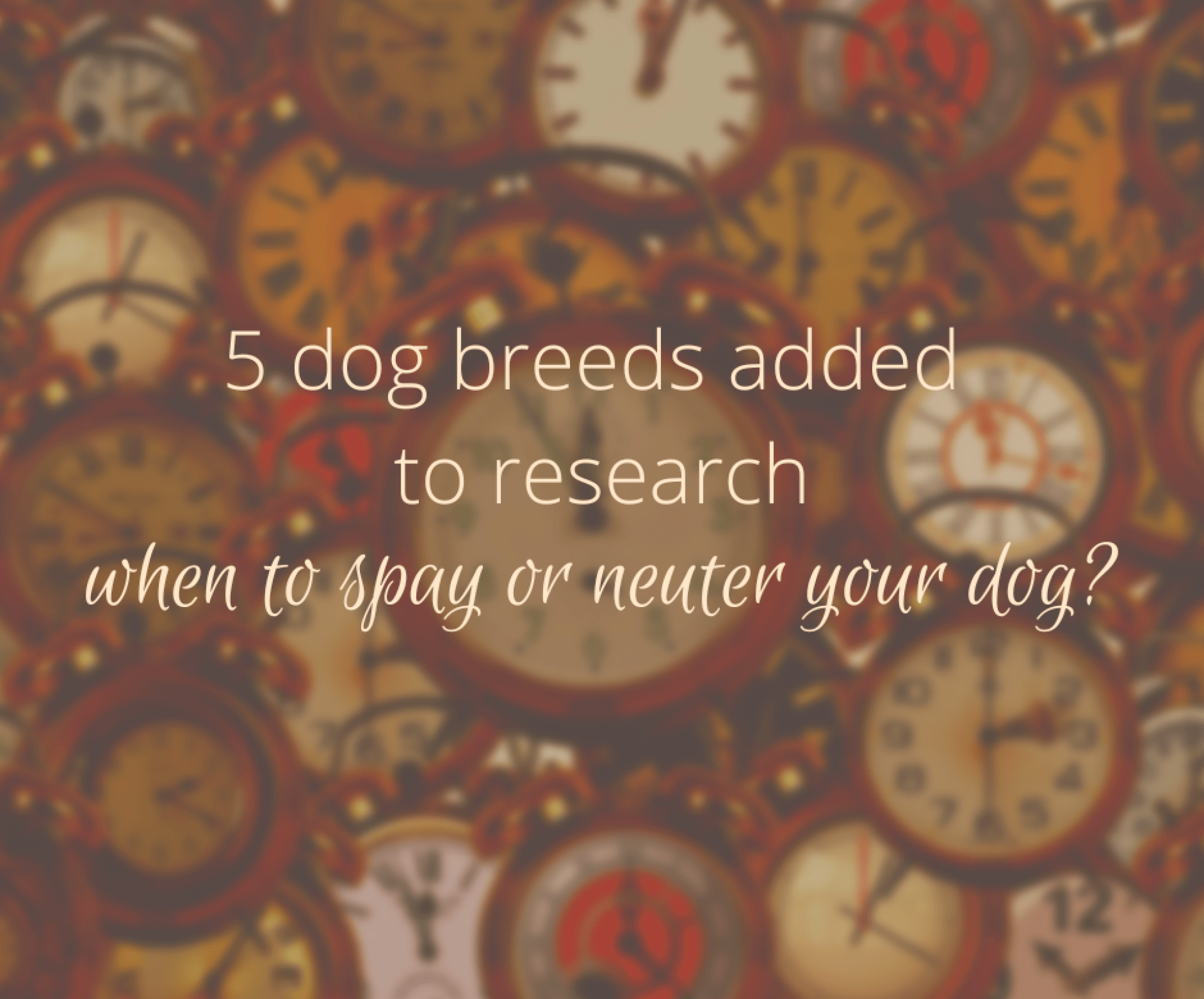 5 novas raças adicionadas a quando esterilizar ou neutralizar pesquisas 5 novas raças adicionadas a quando esterilizar ou neutralizar pesquisas