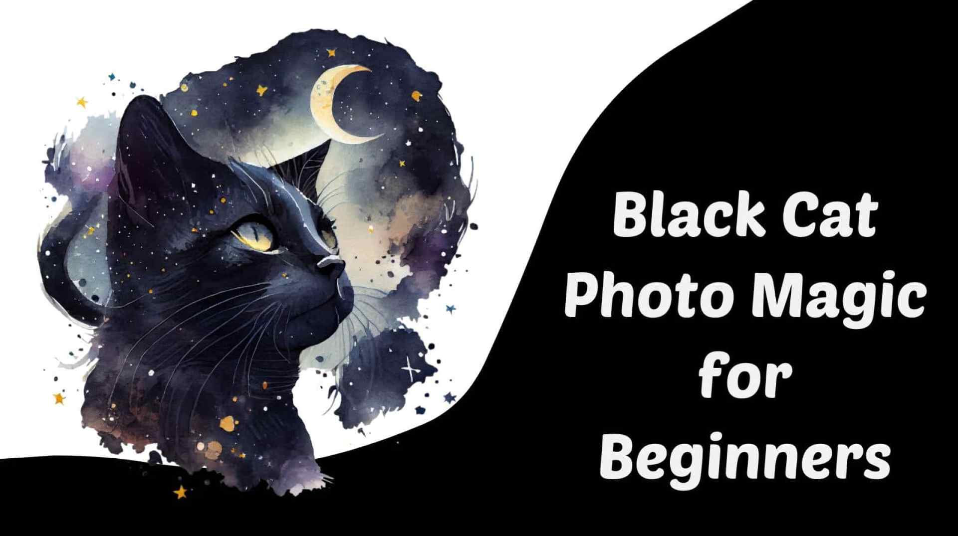 Black Cat Magic for Beginners – Dash Kitten Black Cat Magic for Beginners – Dash Kitten
