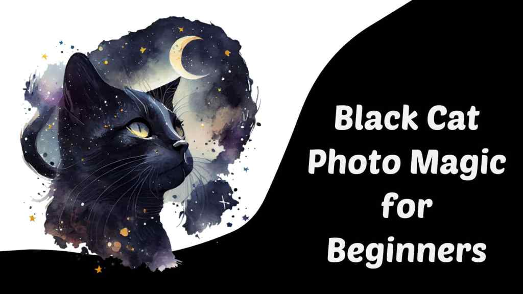 Black Cat Magic for Beginners – Dash Kitten Black Cat Magic for Beginners – Dash Kitten