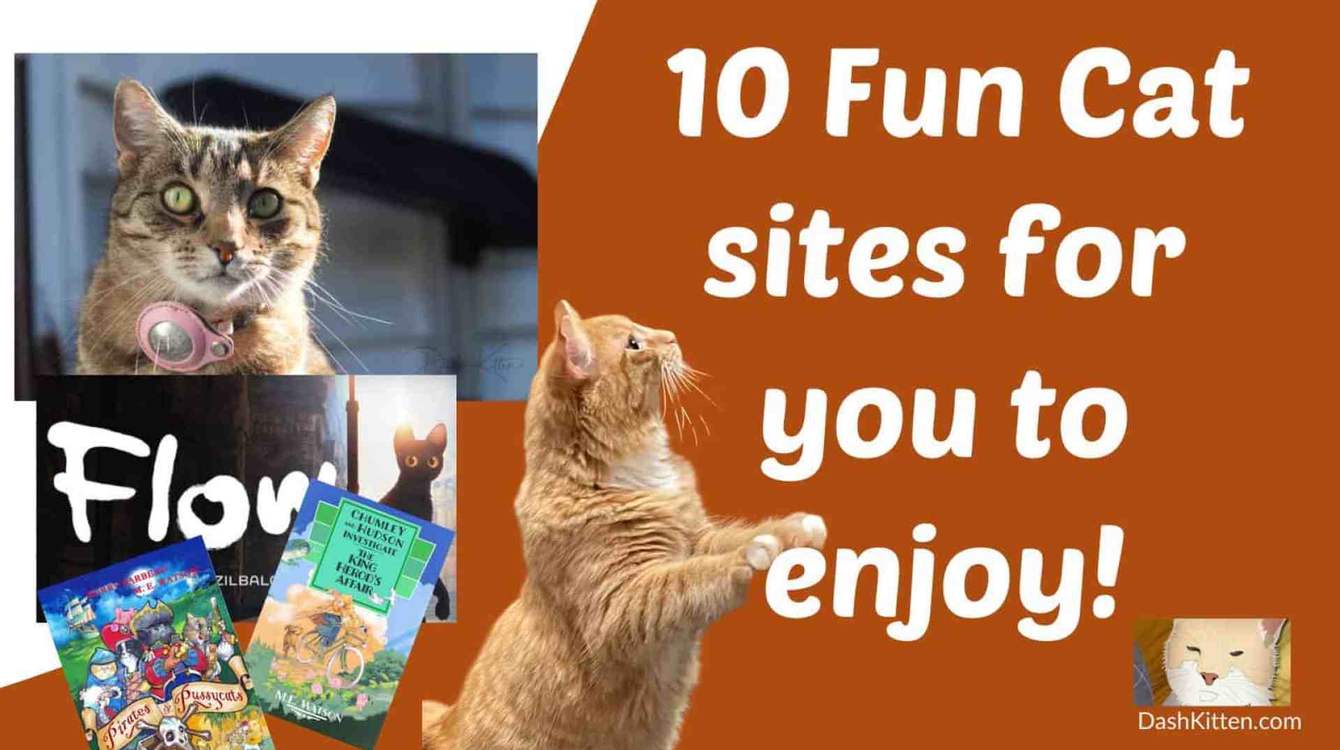 10 locais para os amantes de gatos desfrutarem – Dash Kitten 10 locais para os amantes de gatos desfrutarem – Dash Kitten