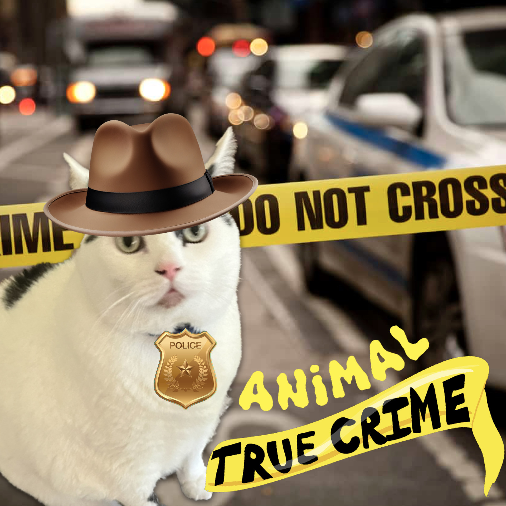 Solvestantes de crimes para animais de estimação -pense duas vezes que os donos de animais de estimação se você for cometer um crime! | Lar Solvestantes de crimes para animais de estimação -pense duas vezes que os donos de animais de estimação se você for cometer um crime! | Lar