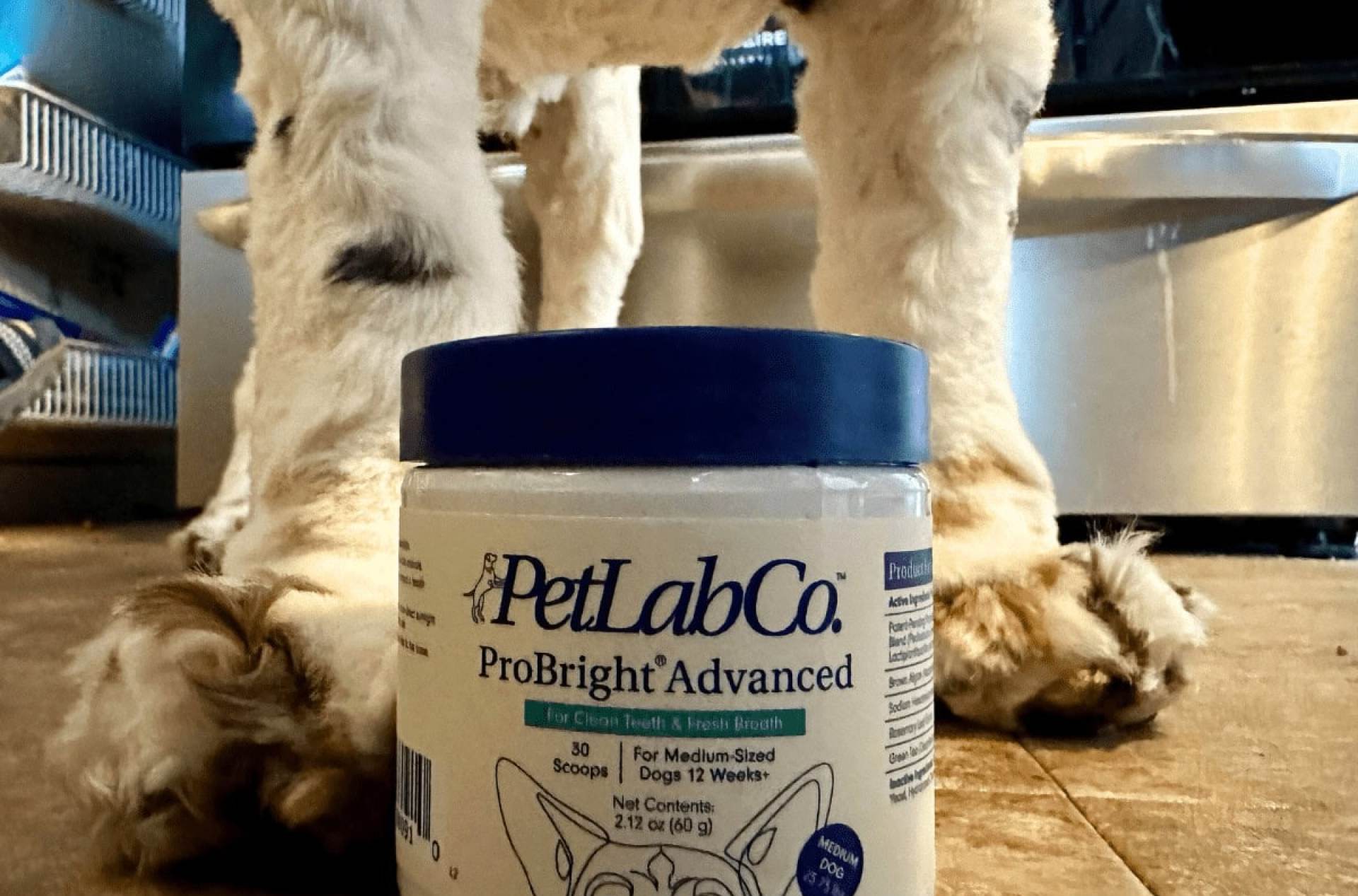 Petlab Co. Revisão: Testando Probright Advanced Dental Powder para cães por 30 dias Petlab Co. Revisão: Testando Probright Advanced Dental Powder para cães por 30 dias
