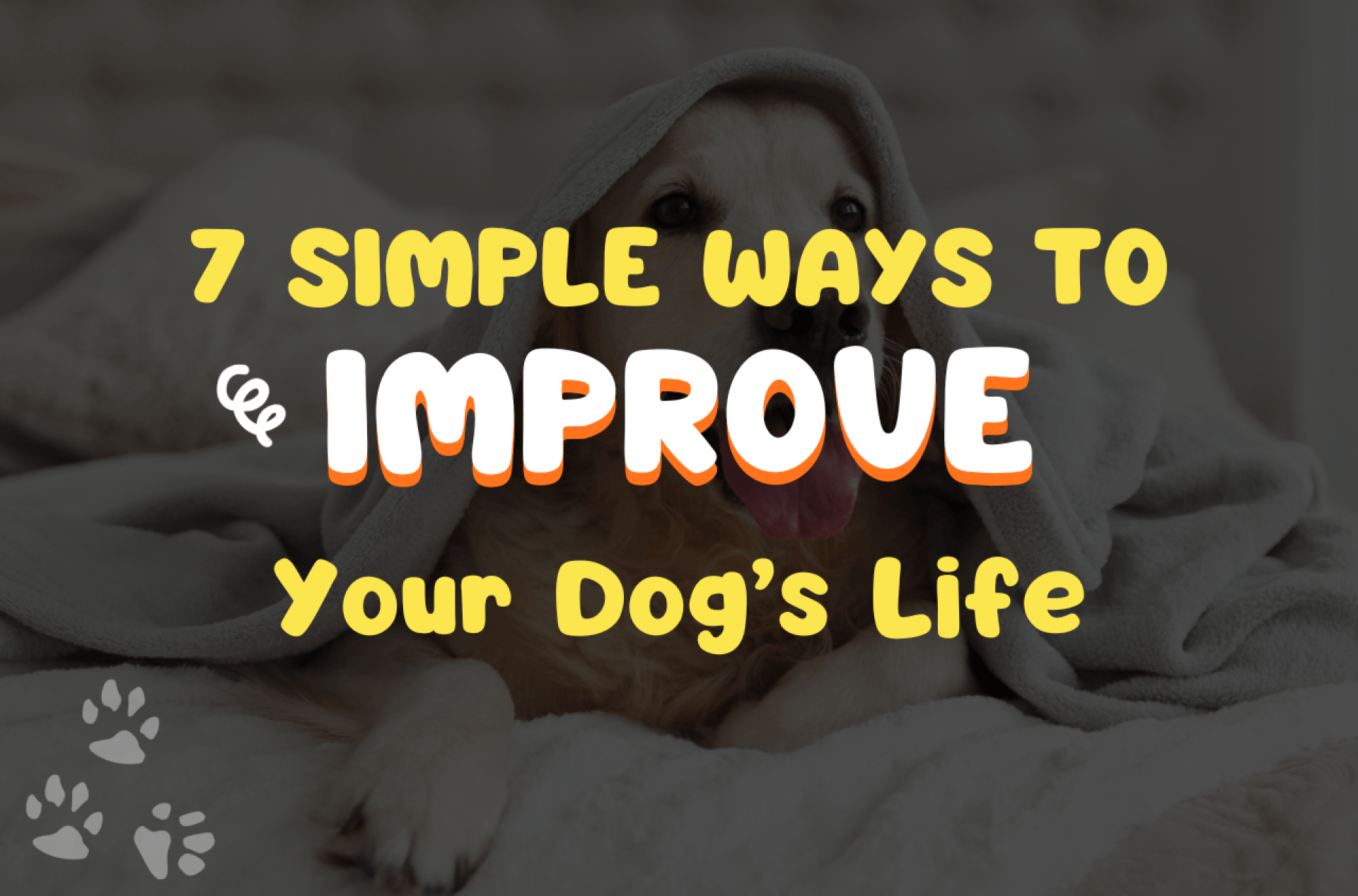 7 maneiras simples de melhorar a vida do seu cão 7 maneiras simples de melhorar a vida do seu cão