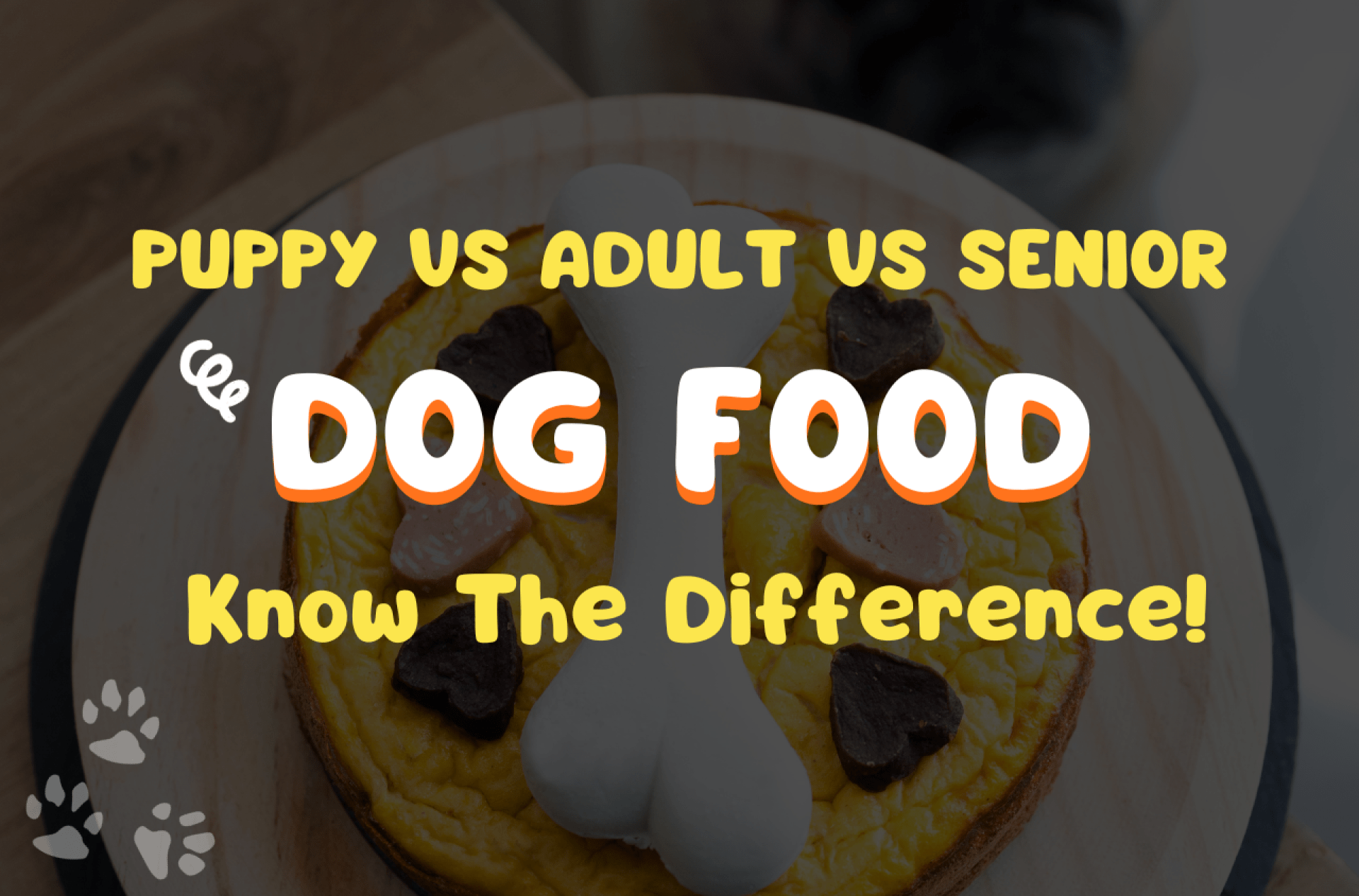 Qual é a diferença entre cachorrinhos, adultos e alimentos para cães? Qual é a diferença entre cachorrinhos, adultos e alimentos para cães?