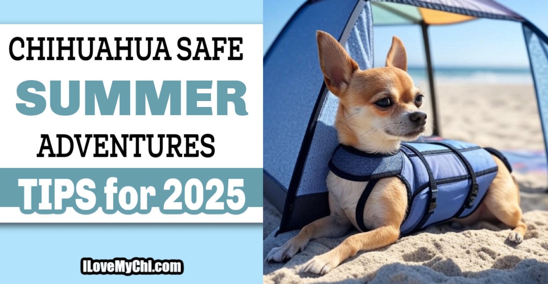 Aventuras de verão de Chihuahua-seguras: dicas para 2025 Aventuras de verão de Chihuahua-seguras: dicas para 2025