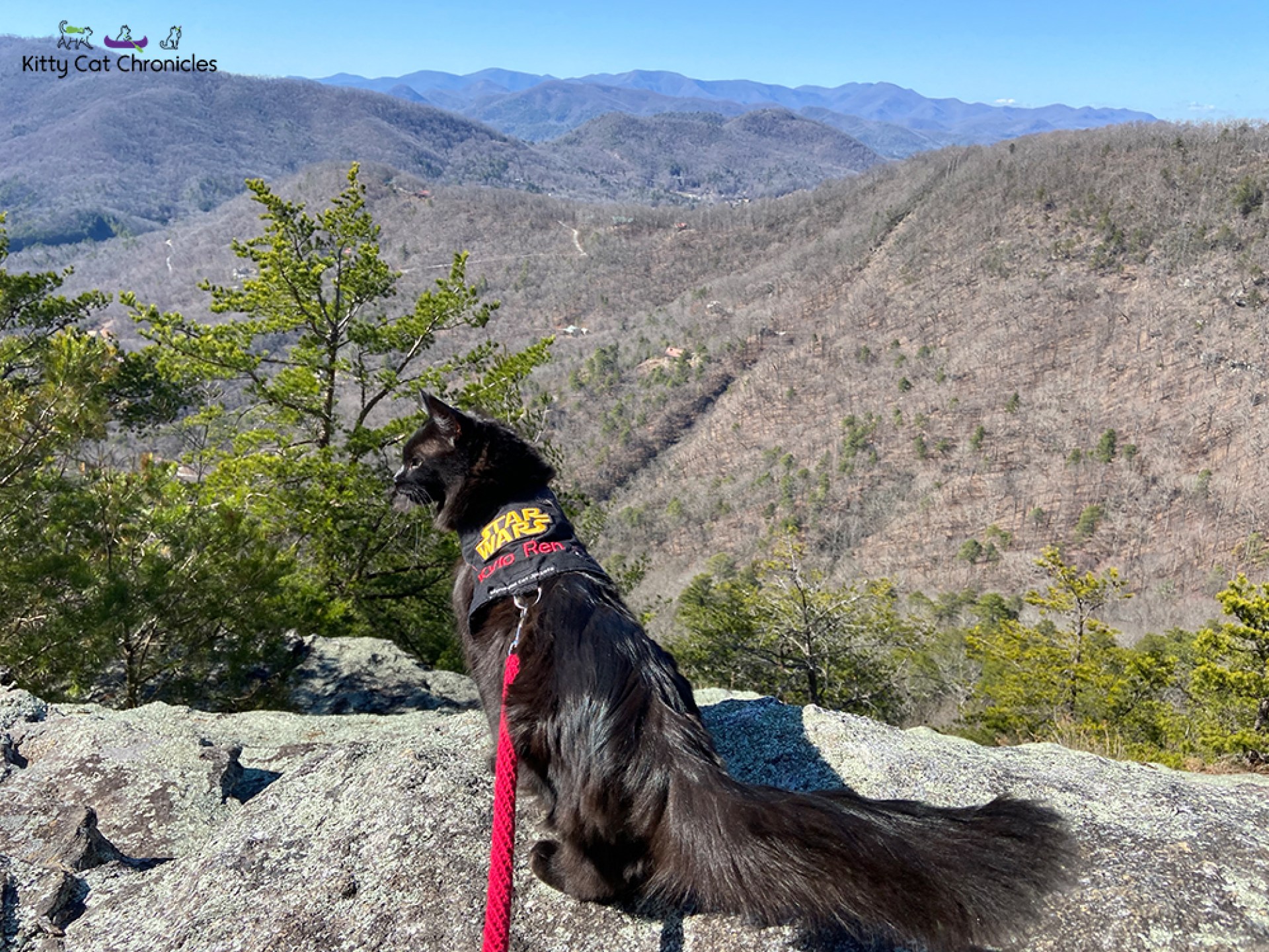 Uma escapadela de montanha com Kylo & Gryphon Uma escapadela de montanha com Kylo & Gryphon