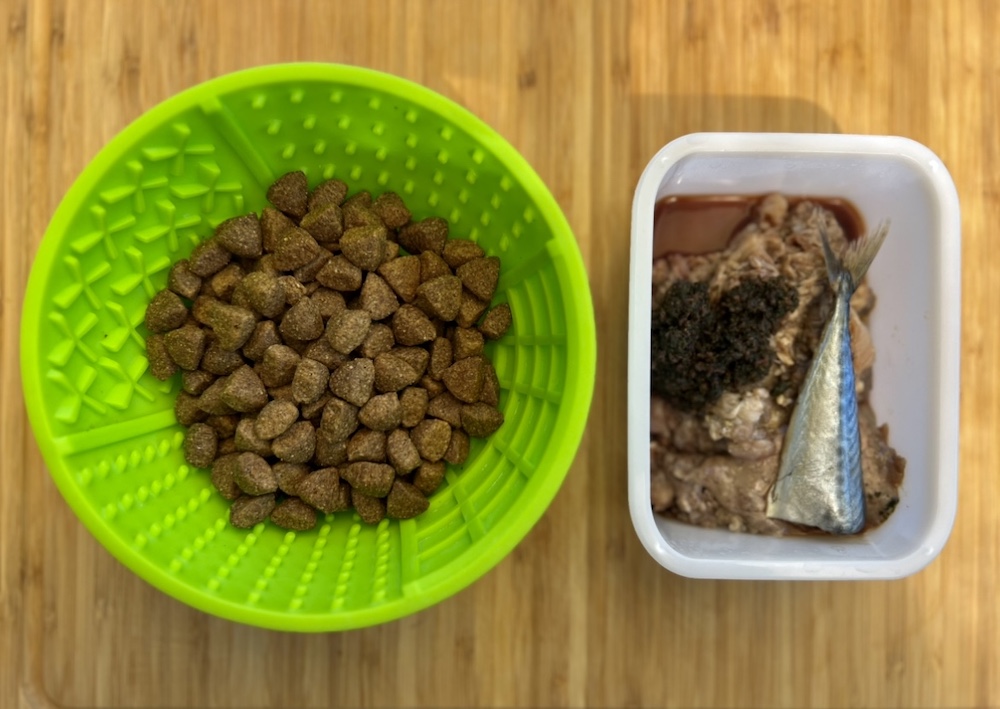 Can I Feed My Dog Raw And Kibble? Can I Feed My Dog Raw And Kibble?
