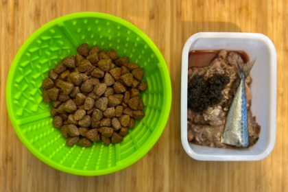 Can I Feed My Dog Raw And Kibble? Can I Feed My Dog Raw And Kibble?