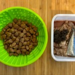 Can I Feed My Dog Raw And Kibble? Can I Feed My Dog Raw And Kibble?