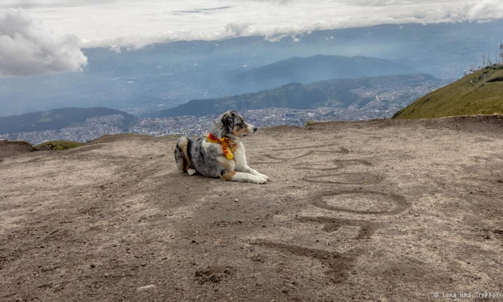 Prevenindo doenças da altitude para cães: dicas para viagens de alta altitude Prevenindo doenças da altitude para cães: dicas para viagens de alta altitude