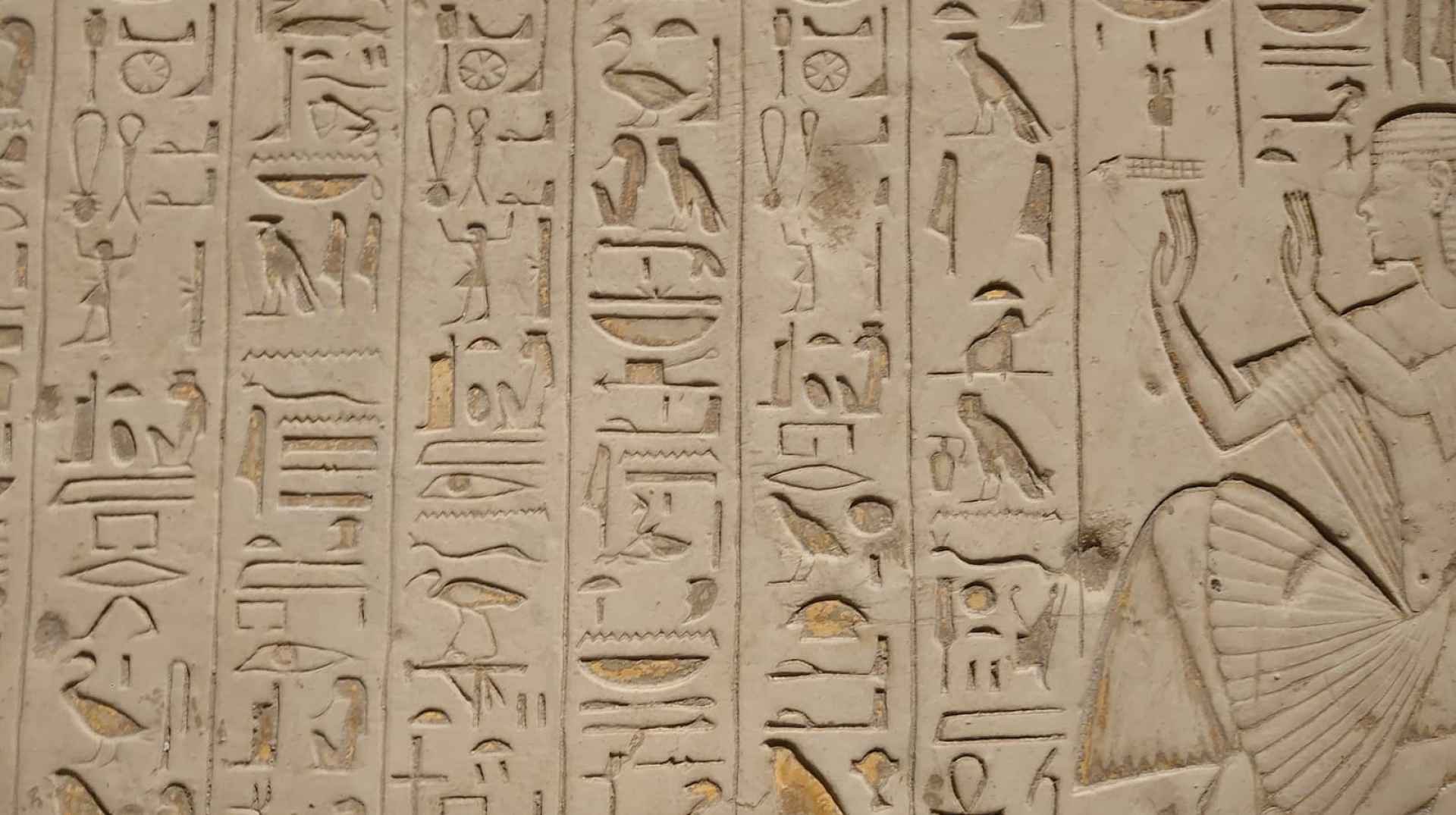A evolução dos leads de cães A evolução dos leads de cães