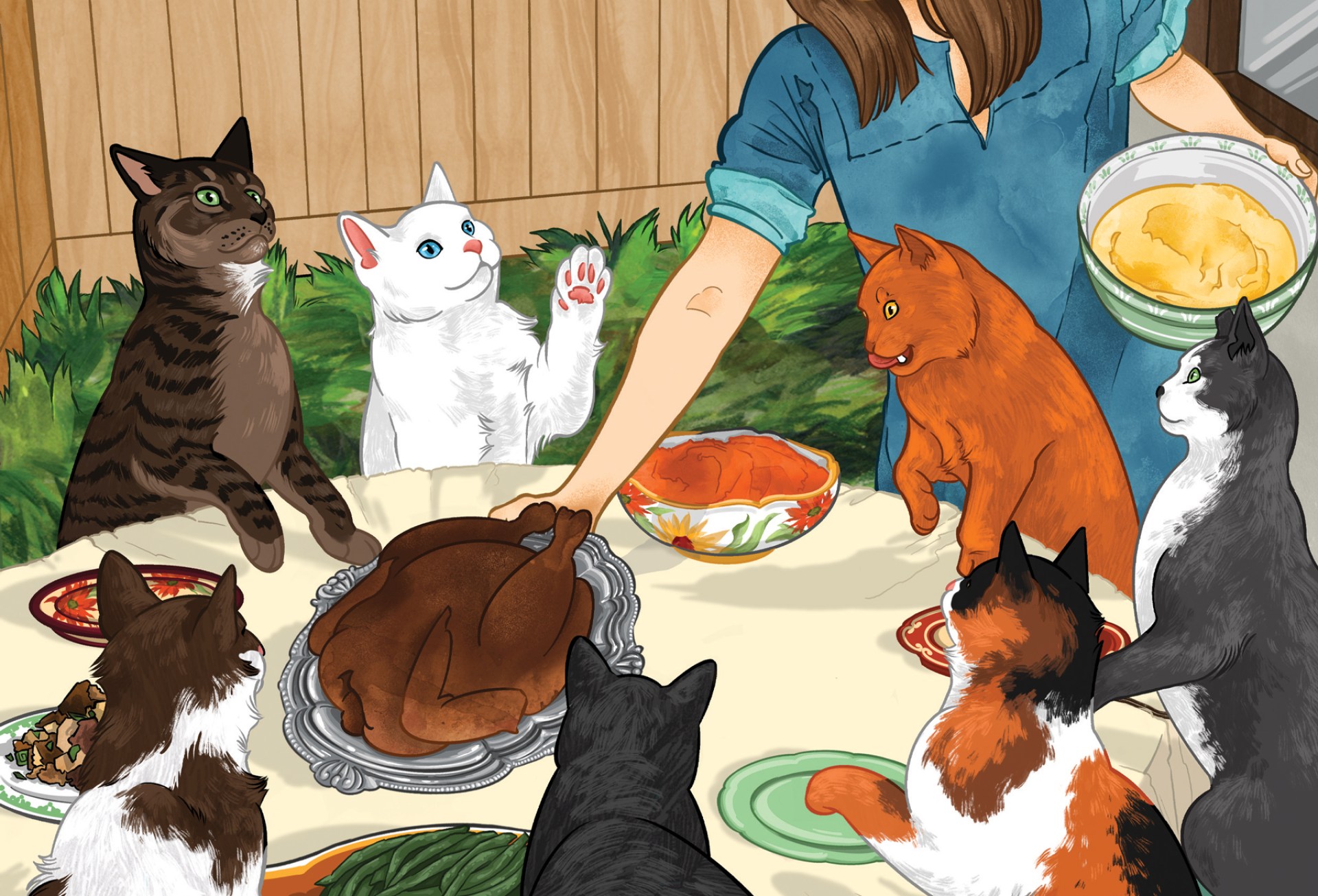 Um vídeo de gato viral mudou minha vida Um vídeo de gato viral mudou minha vida