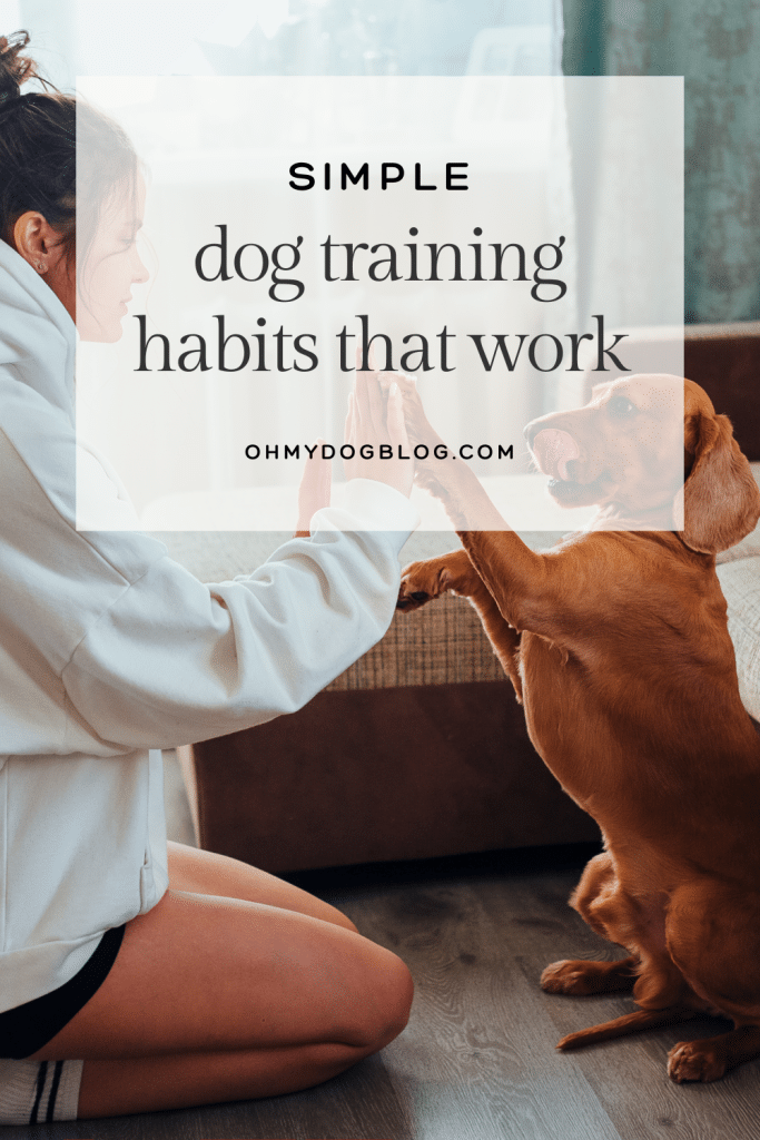 Hábitos simples de treinamento para cães que realmente funcionam Hábitos simples de treinamento para cães que realmente funcionam