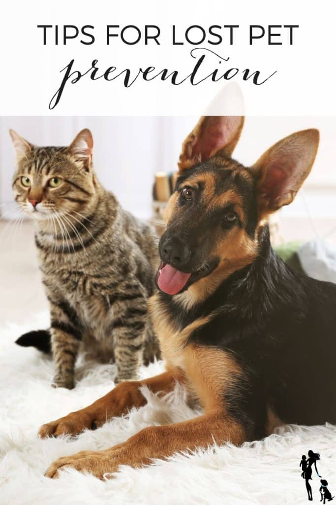 Dicas de prevenção de animais de estimação perdidos – Oh meu cachorro! Dicas de prevenção de animais de estimação perdidos – Oh meu cachorro!