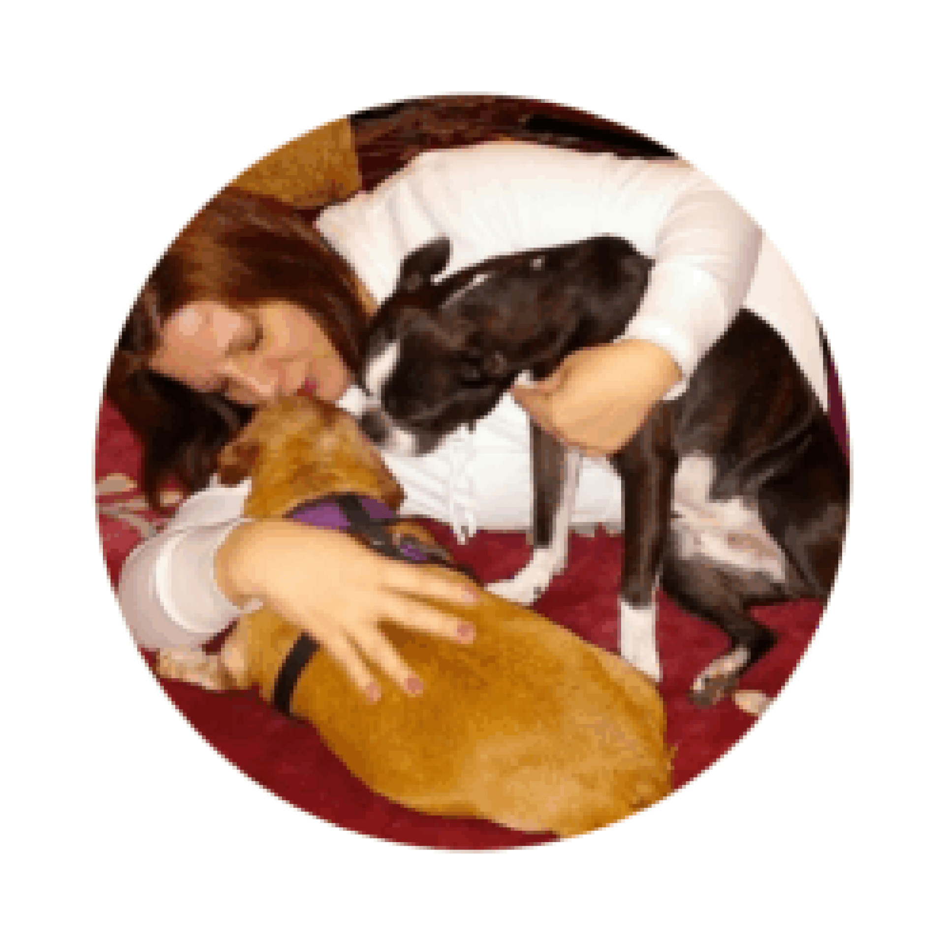 E -mails – pessoas que amavam animais E -mails – pessoas que amavam animais