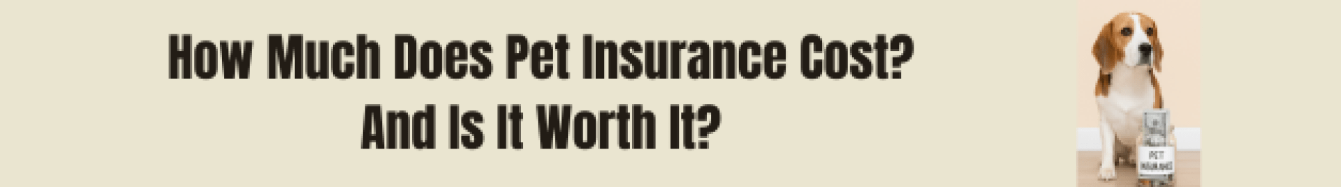 Quanto custa o seguro para animais de estimação – e vale a pena? Quanto custa o seguro para animais de estimação – e vale a pena?