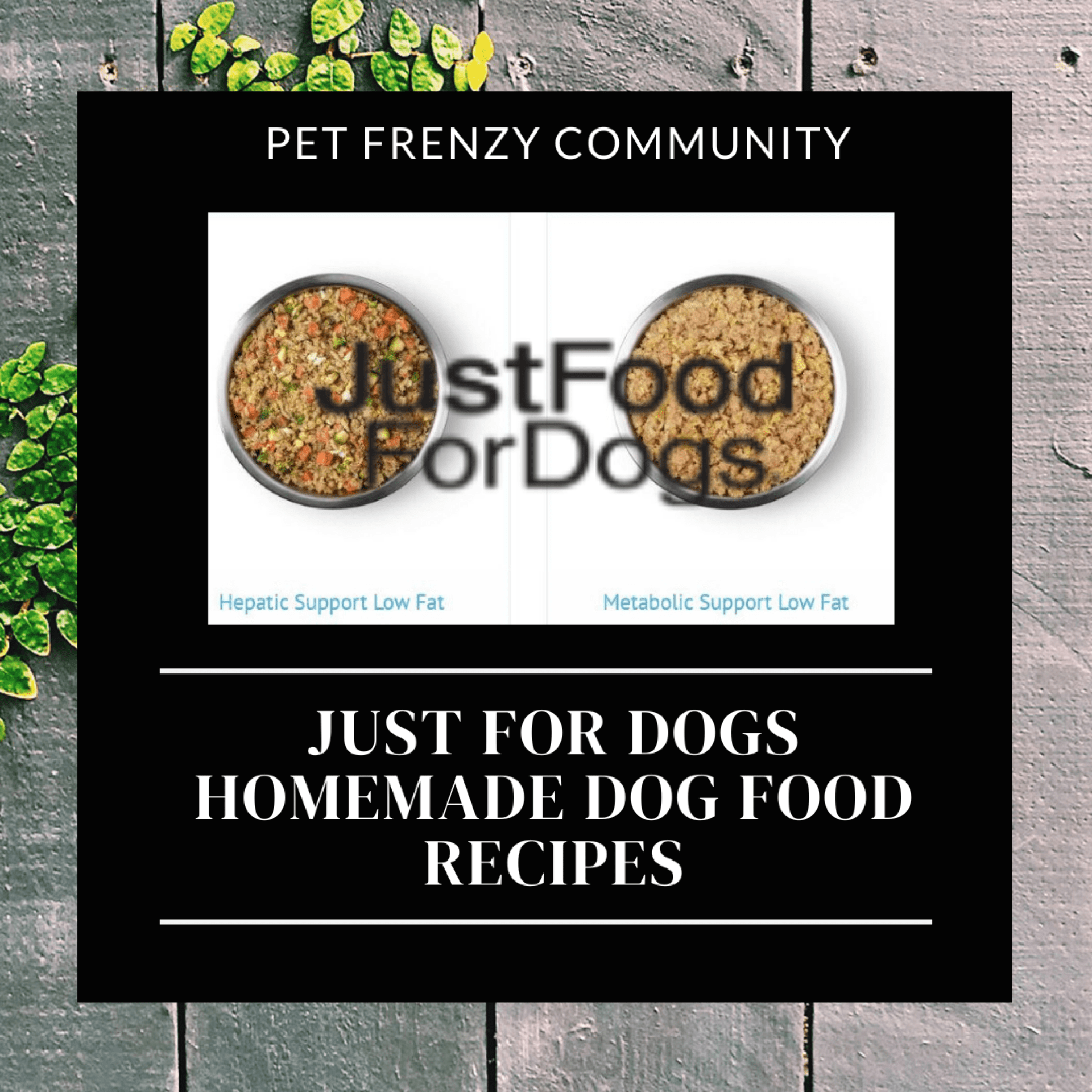Receitas de comida caseira de cães formulados com veterinário confiável – receitas de comida – Receitas de comida caseira de cães formulados com veterinário confiável – receitas de comida –
