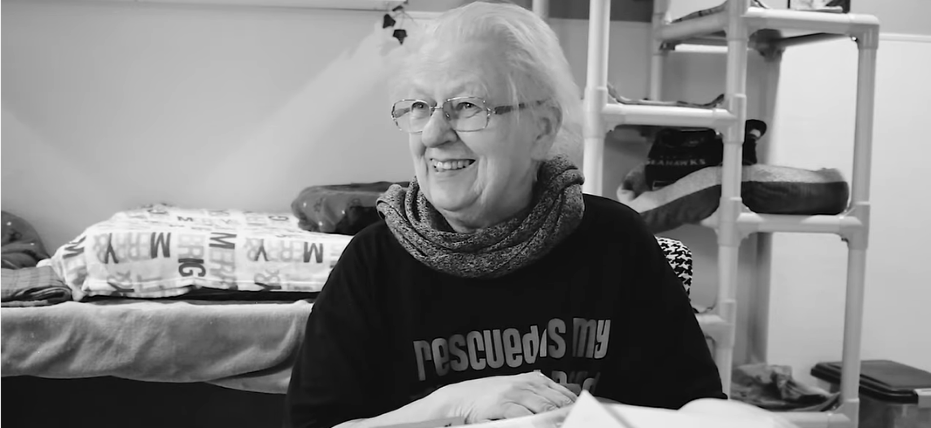 Lembrando Kathy Centala • Pals Purrfect Lembrando Kathy Centala • Pals Purrfect