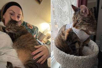 Woman Notices 2 Strange Shifts in Her Cat’s Behavior, Then He Gets a ‘Very Upsetting and Stressful’ Diagnosis (Exclusive) Woman Notices 2 Strange Shifts in Her Cat’s Behavior, Then He Gets a ‘Very Upsetting and Stressful’ Diagnosis (Exclusive)