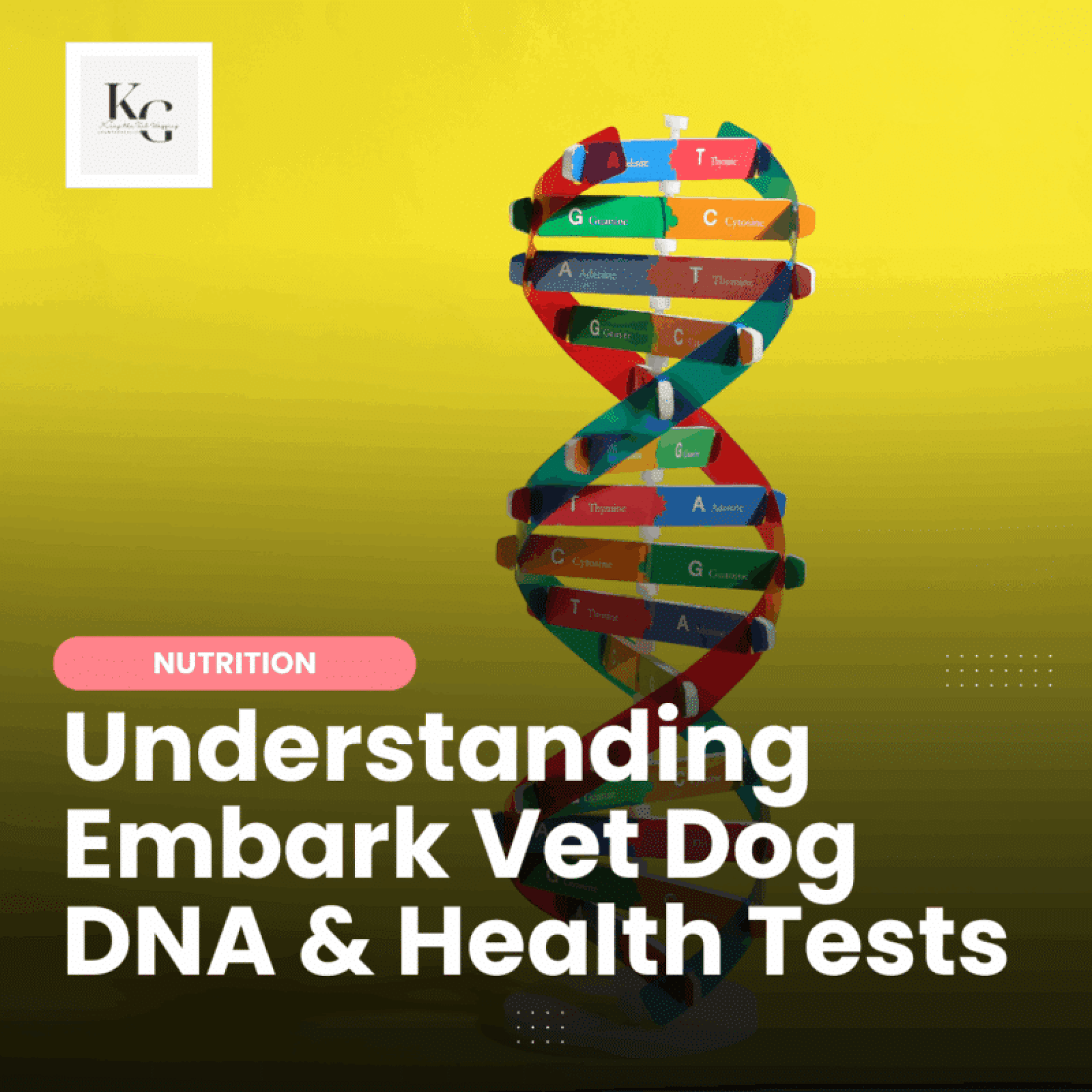 Entendendo o embarque DNA de cão veterinário e testes de saúde Entendendo o embarque DNA de cão veterinário e testes de saúde