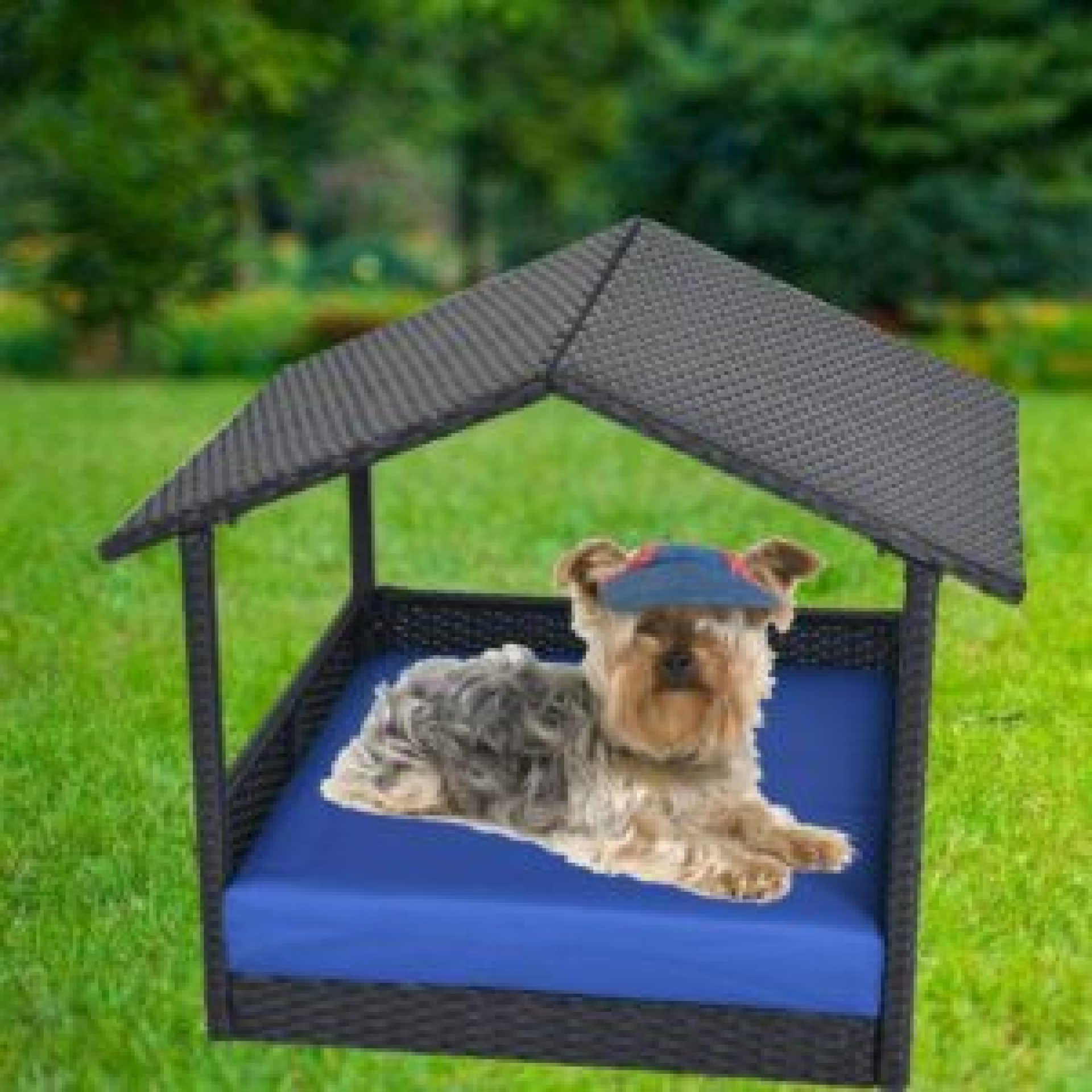 Cama de animais de estimação ao ar livre – por que e o que procurar Cama de animais de estimação ao ar livre – por que e o que procurar