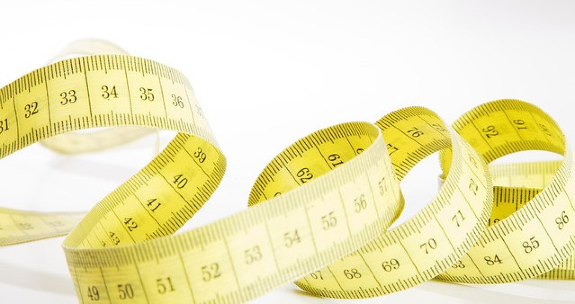 Formulário e função – colar e coleira Formulário e função – colar e coleira