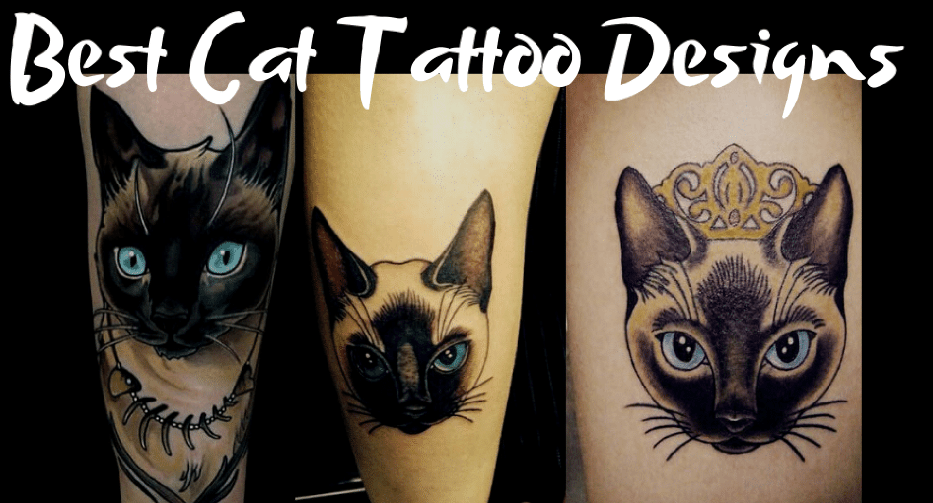 Tatuagem de gatos Designs Idéia e tatuagens de gatos mais amadas em 2022 Tatuagem de gatos Designs Idéia e tatuagens de gatos mais amadas em 2022