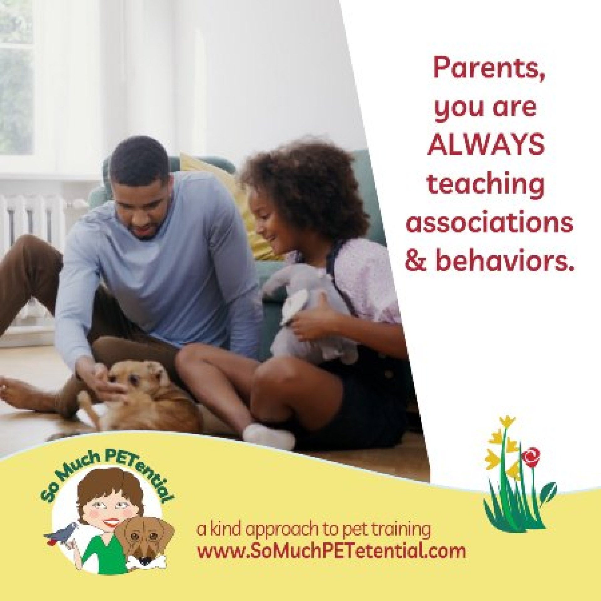 Pais, você está sempre ensinando Pais, você está sempre ensinando