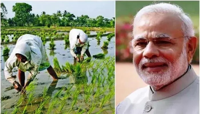 రైతులకు శుభవార్త! మార్చి 13న పీఎం కిసాన్ నిధుల విడుదల! మీ ఖాతాలో డబ్బులు పడ్డాయో లేదో చెక్ చేసుకోండి! రైతులకు శుభవార్త! మార్చి 13న పీఎం కిసాన్ నిధుల విడుదల! మీ ఖాతాలో డబ్బులు పడ్డాయో లేదో చెక్ చేసుకోండి!