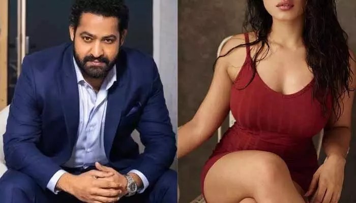 NTR-NEEL మూవీలో స్పెషల్ సాంగ్లో స్టెప్పులు వేయనున్న హీరోయిన్.. ఇది కదా అసలైన సర్ప్రైజు అంటూ కామెంట్స్ NTR-NEEL మూవీలో స్పెషల్ సాంగ్లో స్టెప్పులు వేయనున్న హీరోయిన్.. ఇది కదా అసలైన సర్ప్రైజు అంటూ కామెంట్స్