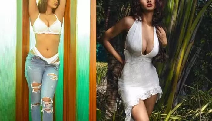 సోషల్ మీడియాను షేక్ చేసిన ఆర్జీవీ బ్యూటీ.. ప్రైవేట్ పార్ట్స్ కనిపించేలా హాట్ షో సోషల్ మీడియాను షేక్ చేసిన ఆర్జీవీ బ్యూటీ.. ప్రైవేట్ పార్ట్స్ కనిపించేలా హాట్ షో
