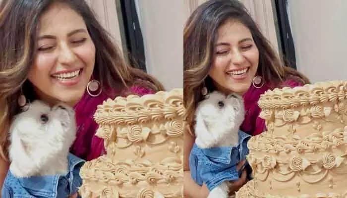 బర్త్ డే కేక్తో పాటు కుక్క క్యూట్ లుక్స్ పంచుకున్న నటి.. ఎన్నేళ్లలోకి అడుగుపెట్టిందో తెలిస్తే నోరెళ్లబెట్టాల్సిందే ..? బర్త్ డే కేక్తో పాటు కుక్క క్యూట్ లుక్స్ పంచుకున్న నటి.. ఎన్నేళ్లలోకి అడుగుపెట్టిందో తెలిస్తే నోరెళ్లబెట్టాల్సిందే ..?