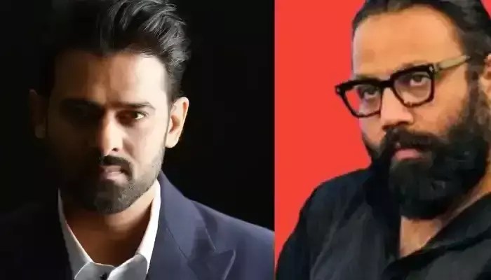 స్పిరిట్ కోసం సందీప్ రెడ్డి మాస్టర్ ప్లాన్..ఇక ఇండస్ట్రీ షేక్ కావాల్సిందే! స్పిరిట్ కోసం సందీప్ రెడ్డి మాస్టర్ ప్లాన్..ఇక ఇండస్ట్రీ షేక్ కావాల్సిందే!