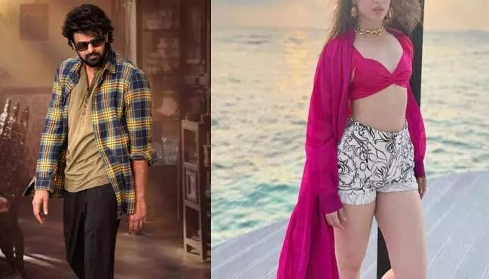 ‘ది రాజాసాబ్’లో ఐటెం సాంగ్ చేయనున్న టాలీవుడ్ స్టార్ హీరోయిన్.. ఇక బాక్సులు బద్దలవ్వాల్సిందే! ‘ది రాజాసాబ్’లో ఐటెం సాంగ్ చేయనున్న టాలీవుడ్ స్టార్ హీరోయిన్.. ఇక బాక్సులు బద్దలవ్వాల్సిందే!