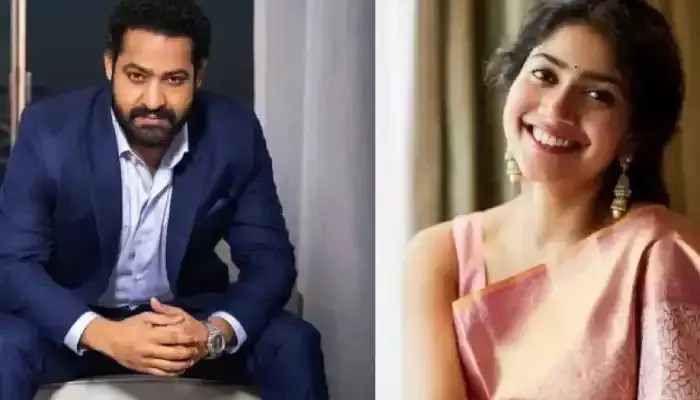 జూనియర్ ఎన్టీఆర్ కోసం లేడీ పవర్ స్టార్ ? జూనియర్ ఎన్టీఆర్ కోసం లేడీ పవర్ స్టార్ ?