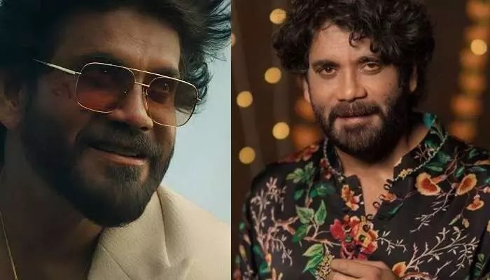 నాగర్జున 100వ సినిమాపై రాజకీయాలు...ఇక థియేటర్లలో రచ్చ, రచ్చే ! నాగర్జున 100వ సినిమాపై రాజకీయాలు...ఇక థియేటర్లలో రచ్చ, రచ్చే !